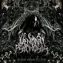Wendigo Psychosis - Poison Alice Cooper Cover