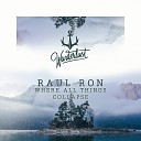 Raul Ron - Where All Things Collapse Radio Edit