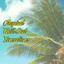Chill Out Beach Party Ibiza Chilled Ibiza - Miami House Mix