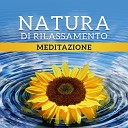 Zona pura di suoni naturali - Pulizia dei Chakra