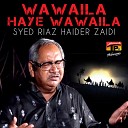 Syed Riaz Haider Zaidi - Ro K Kehti Thi