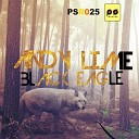 Andy Lime - Black Eagle Original Mix
