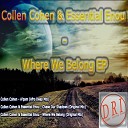 Collen Cohen Essential Enou - Where We Belong Original Mix
