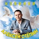 Степин Алексей - Дорога да гитара Remix 2018