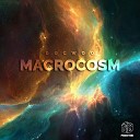 DocWoo - Macrocosm 2 0 Original Mix