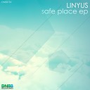 Linyus - It All Ended Original Mix