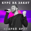 Андрей Бриг - Курс на закат