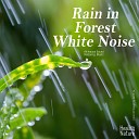 Nature Sound Band - Thunderstorms in the Woods ASMR Sleep Music Meditation…