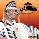 Chambinho do Acordeon - Viva a Bahia
