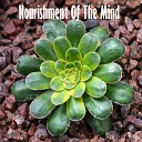 Meditation Awareness - Water On The Leaves