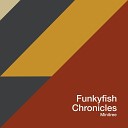 Funkyfish - Strike You Down