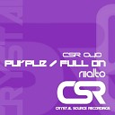 Riialto - Purple Original Mix