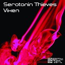 Serotonin Thieves - Vixen David Herrero Ole Remix