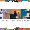 David Wilcox - Good Together Live