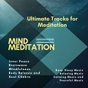 Mind Body Soul Reiki Therapeutic Sounds Restorative Meditation Yoga… - Stretch Your Limits