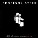 Profesor Stein - El Paso De Los a os