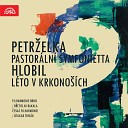 Brno Philharmonic Orchestra B etislav Bakala - Sinfonietta pastoralis IV Thanksgiving