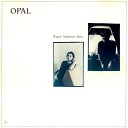 Opal USA - A Falling Star