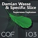 Damian Wasse Specific Slice - Supernova Explosion Original Mix COF…