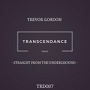 Trevor Gordon - 100 years Original Mix