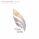 Antony Waldhorn - No Limit Original Mix