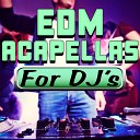 DJ Acapellas - What Makes You Beautiful Acapella Version