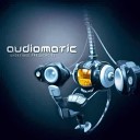 Audiomatic - Brimborium