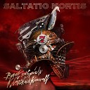 Saltatio Mortis - Sie tanzt allein Klassik Instrumental