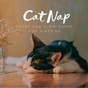 Piano Cats - The Ballad of the Cats Nap