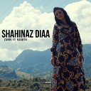 Shahinaz Diaa - Zanbi Fe Raabto