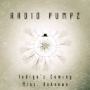 Radio PumPz - Miss Unknown Original Mix
