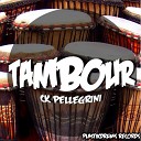 Ck Pellegrini - Tambour Original Mix