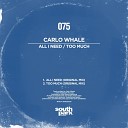 Carlo Whale - All I Need Original Mix
