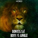 Sonicblast - Born In Jungle Original Mix