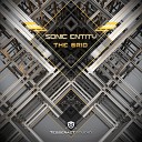 Sonic Entity - The Grid Original Mix