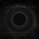 Crow Black Sky - Veils