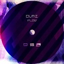 Dumi - Flow Original Mix