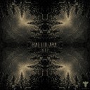 Hallulaya - Paranoia Original Mix
