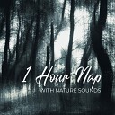 Sleep Sound Library Peaceful Sleep Music Collection Relaxing Nature Sounds… - Yearning for the Wind