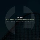 Imida - Not Afraid of The Roller Coaster Original Mix