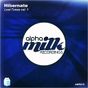 Hibernate - The Real Original Mix