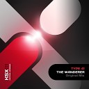 Type 41 - The Wanderer Original Mix