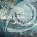 Sergey Silvertone - I m Coming Down Original Mix