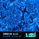 Federico Gava - Plastika Original Mix