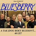 Petar Introvi Bluesberry - Co je to blues Live