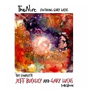 The Niro feat Gary Lucas - Story Without Words
