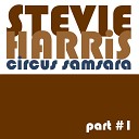 Stevie Harris - Stuck in the Rhythm and Blues