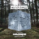 Drumsound Bassline Smith fea - Daylight Maddslinky Remix