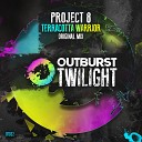 Project 8 - Terracotta Warrior