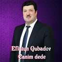 Eflatun Qubadov feat Elgiz Mubarizoglu - Canim Dede